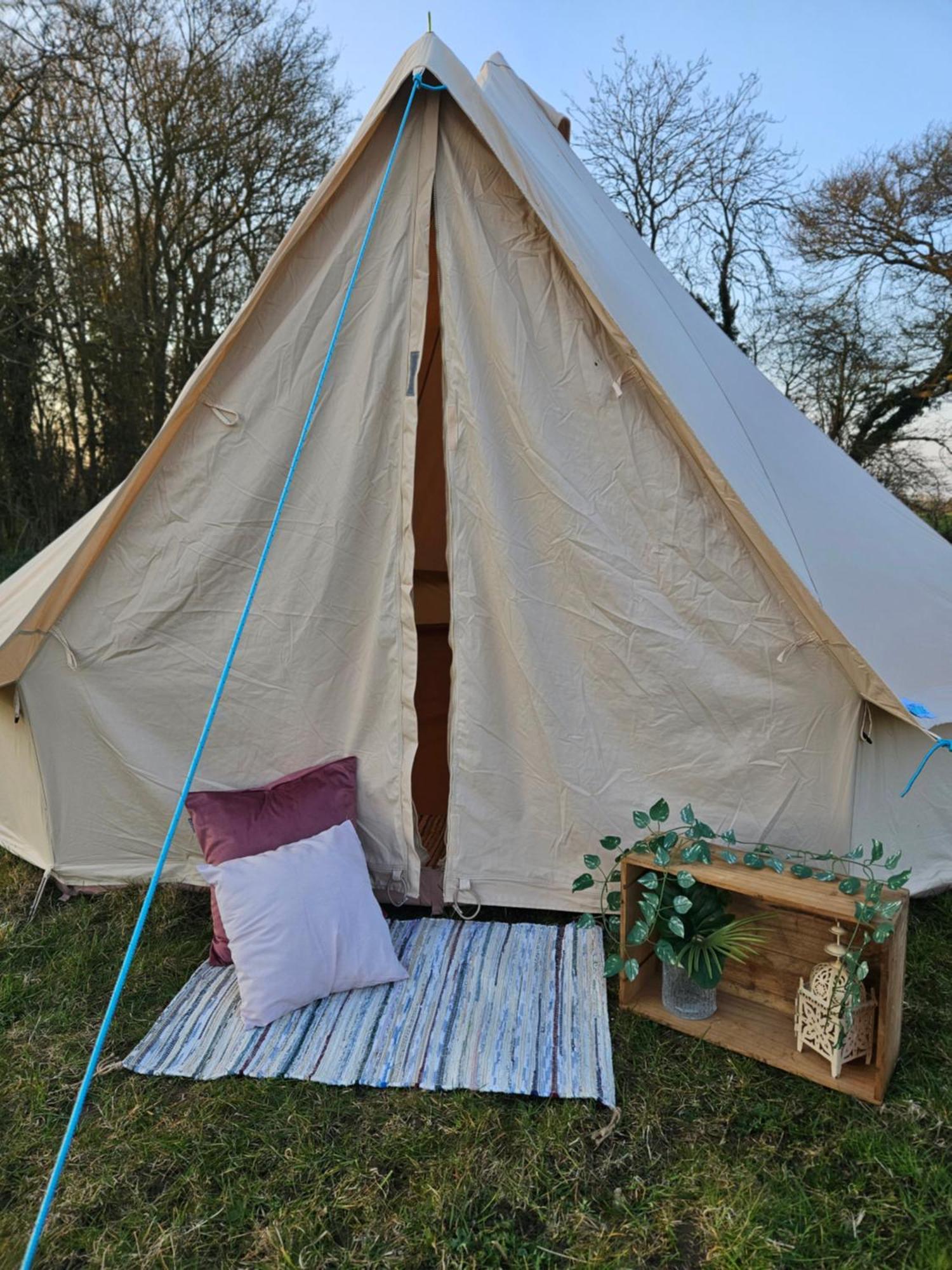 Glamping Readers Field Glamping