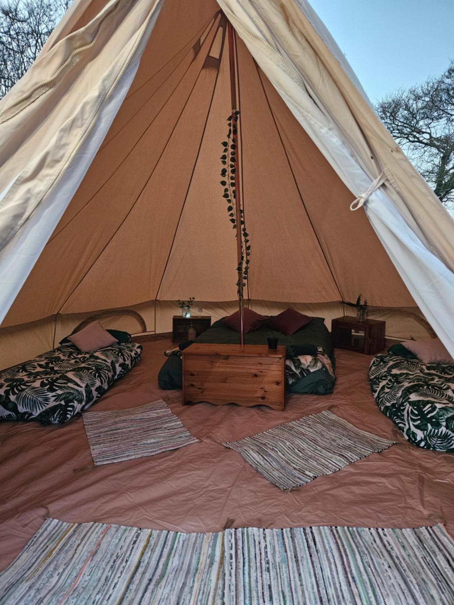 Glamping Readers Field Glamping