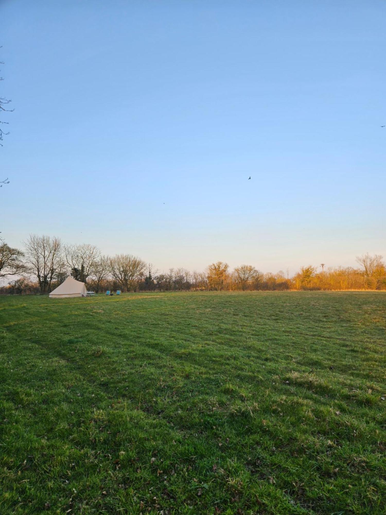 Readers Field Glamping Great Sampford